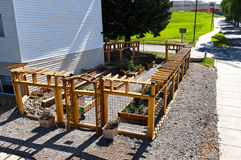 Community garden